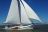 Ronde Walvis